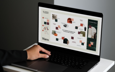 Case Study SEO – dlaczego większość firm nigdy nie pokazuje prawdziwych wyników?