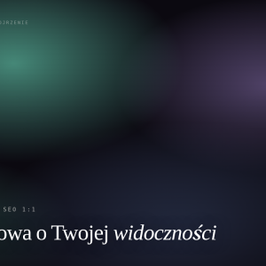 Konsultacja SEO 1:1