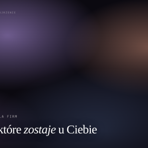 Szkolenie SEO dla firm